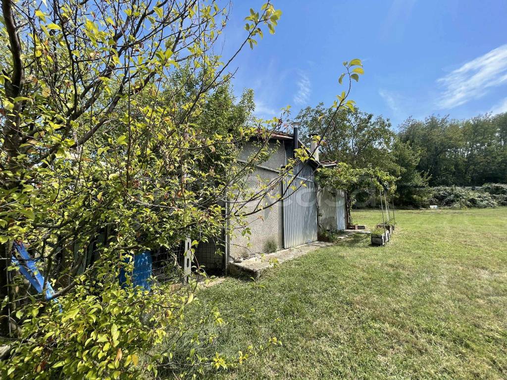 immagine annuncio 2 di 14