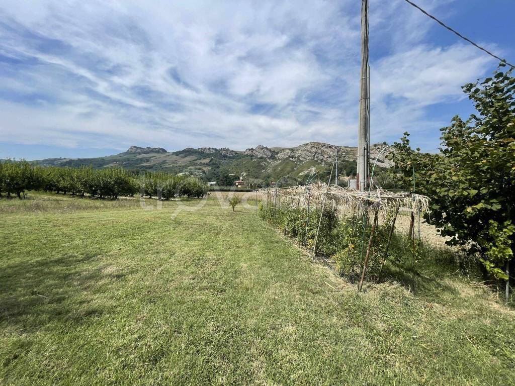 immagine annuncio 12 di 14