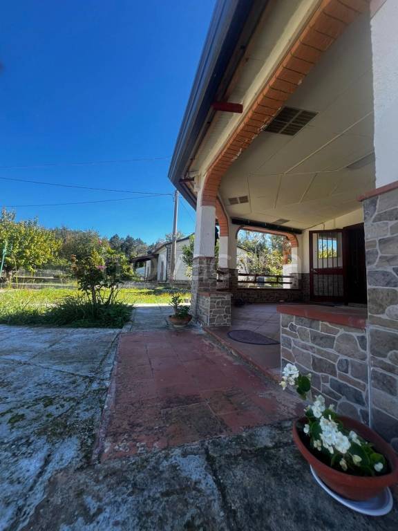 immagine annuncio 11 di 14