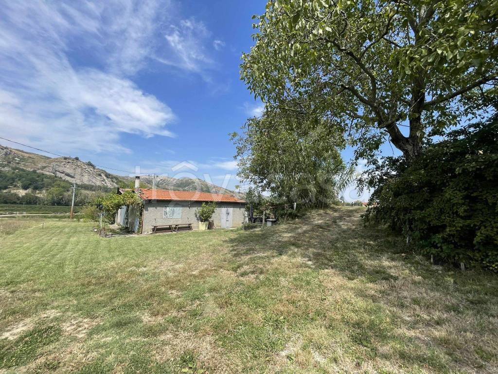 immagine annuncio 3 di 14