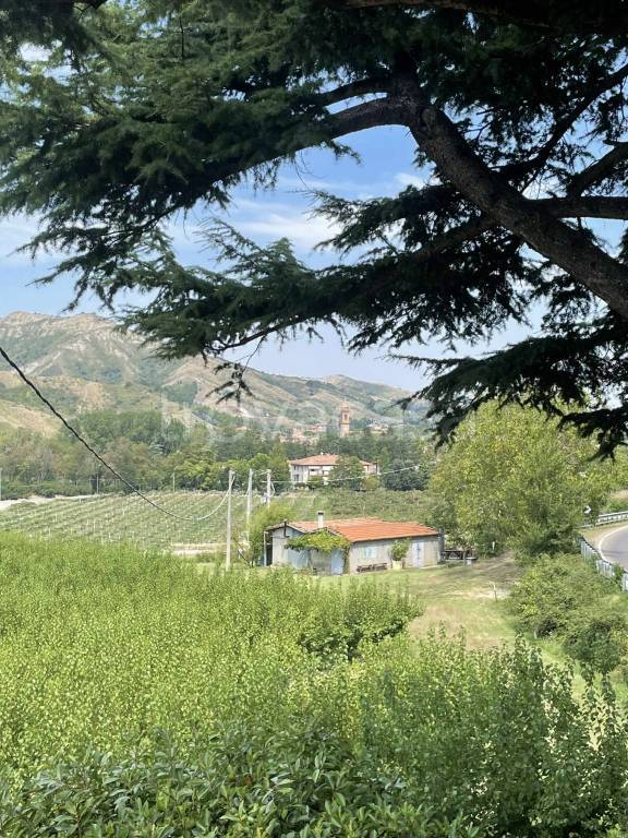 immagine annuncio 13 di 14