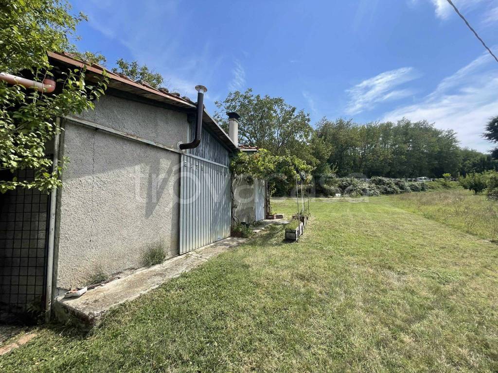 immagine annuncio 9 di 14