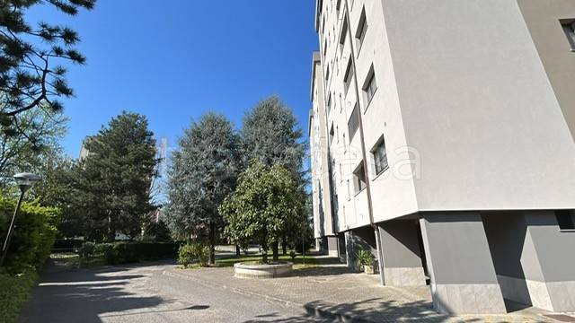 immagine annuncio 9 di 11