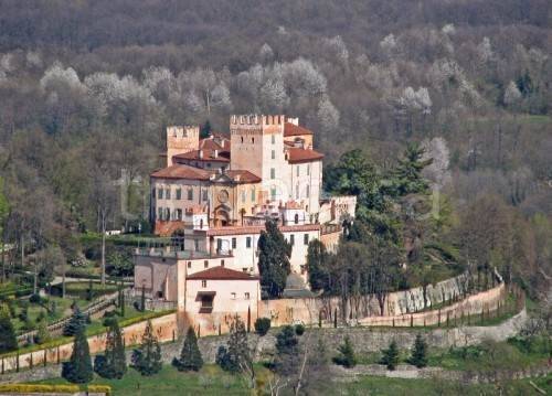 immagine annuncio 10 di 12