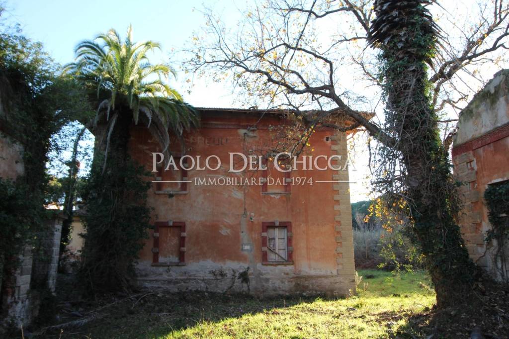 immagine annuncio 5 di 14