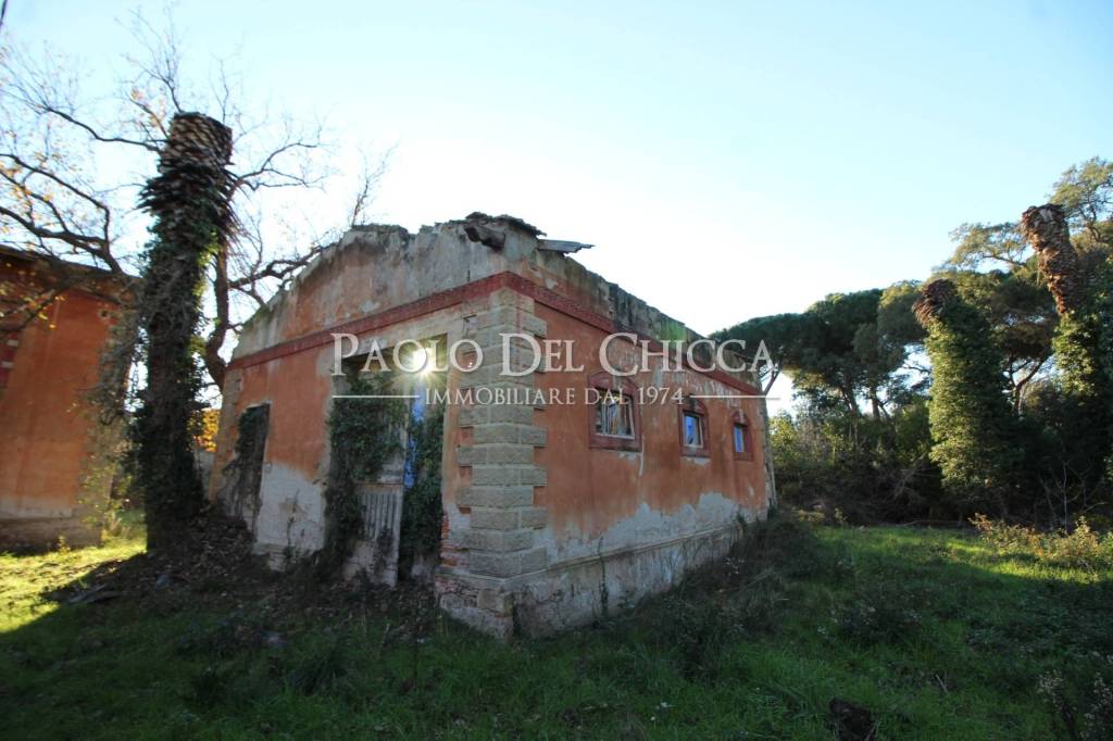 immagine annuncio 6 di 14