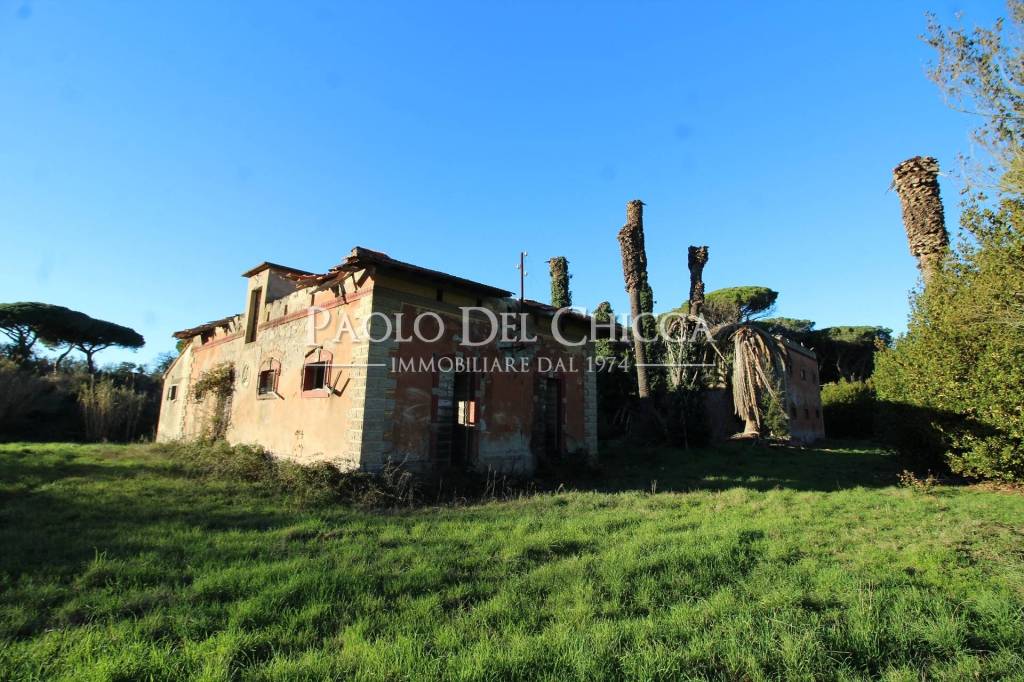 immagine annuncio 10 di 14