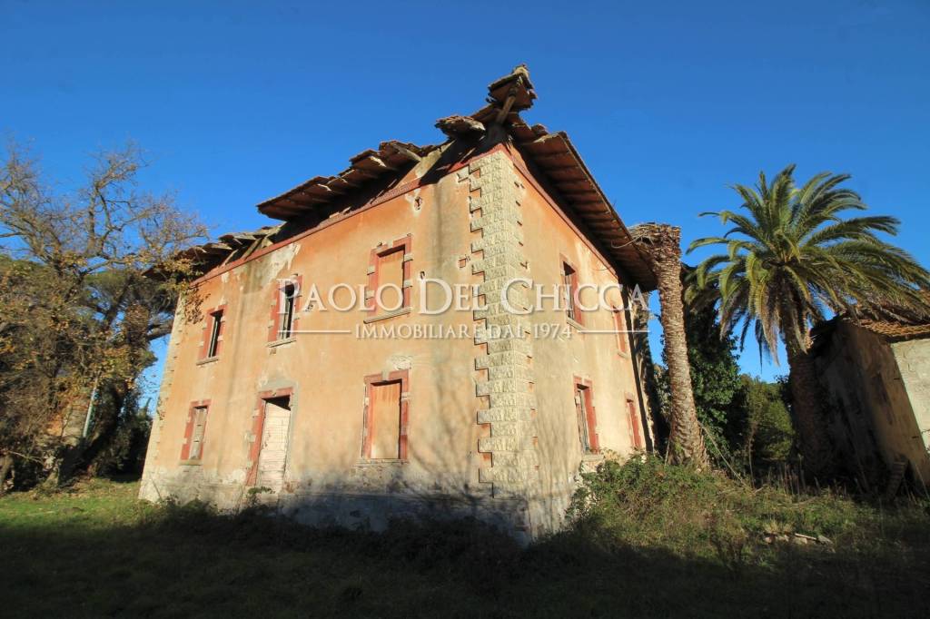 immagine annuncio 11 di 14