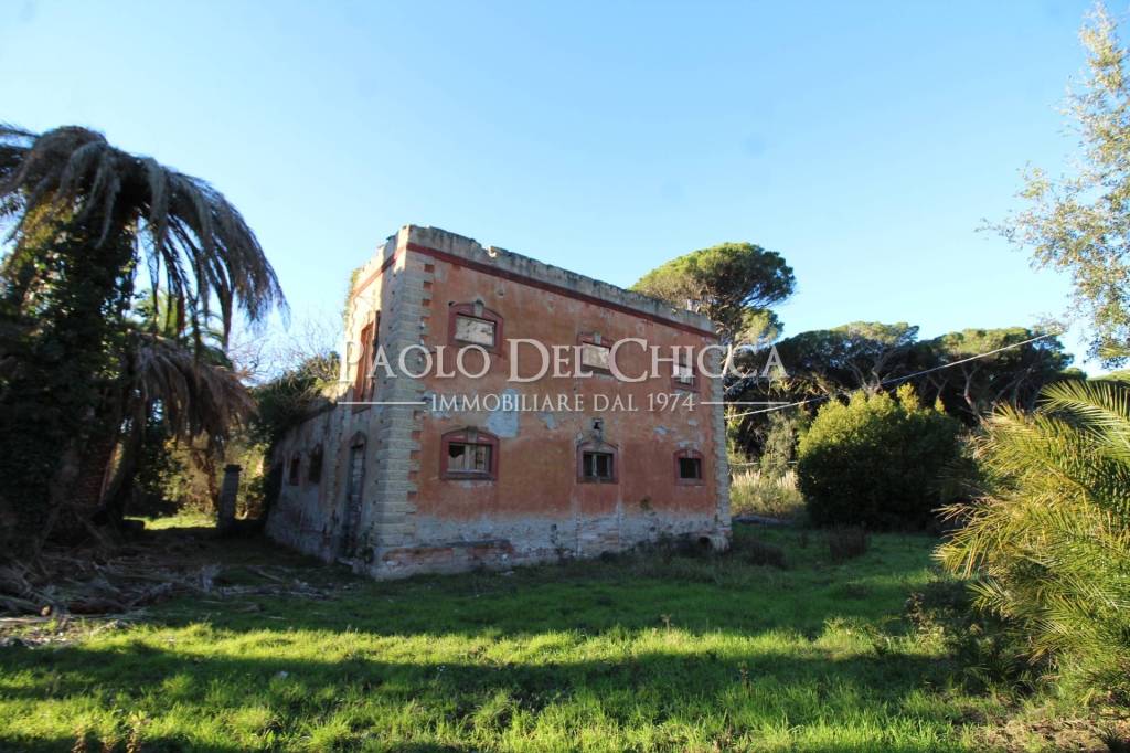 immagine annuncio 12 di 14