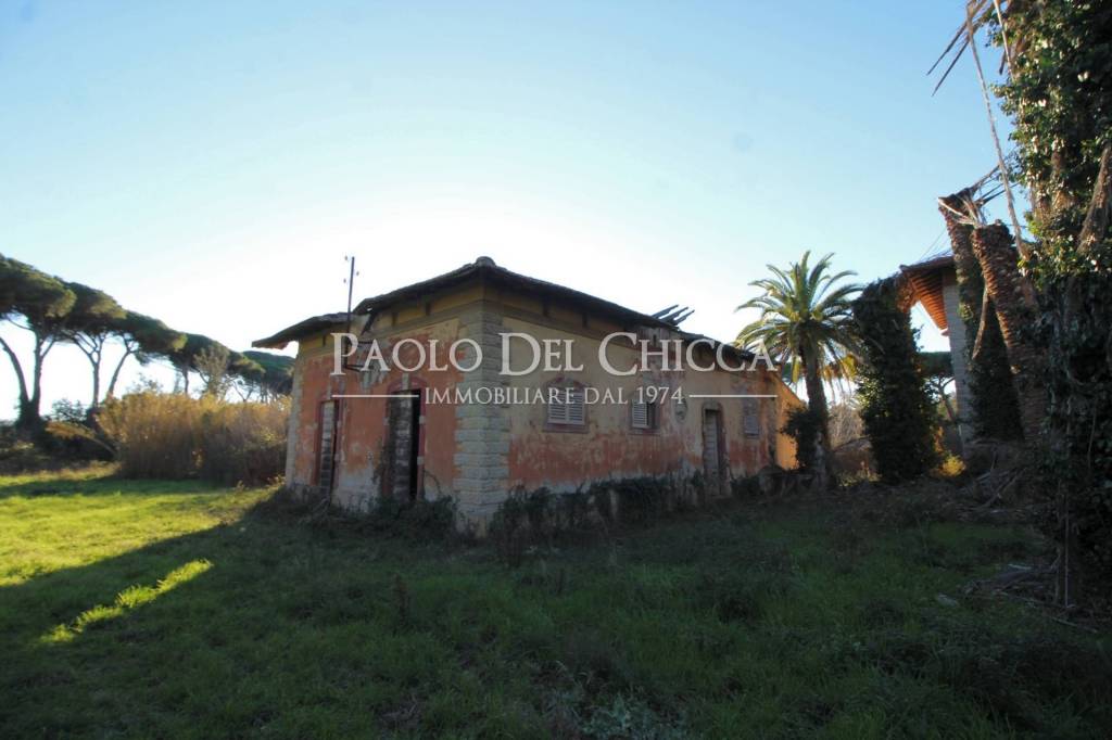 immagine annuncio 13 di 14