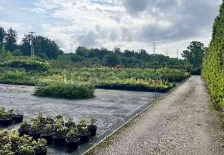 immagine annuncio 3 di 9