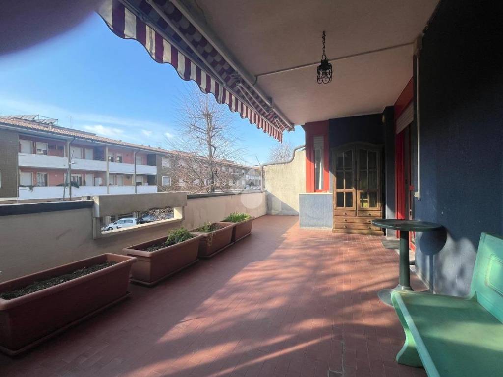 immagine annuncio 3 di 15