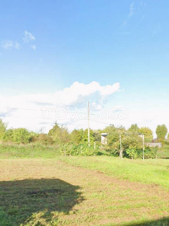 immagine annuncio 6 di 7