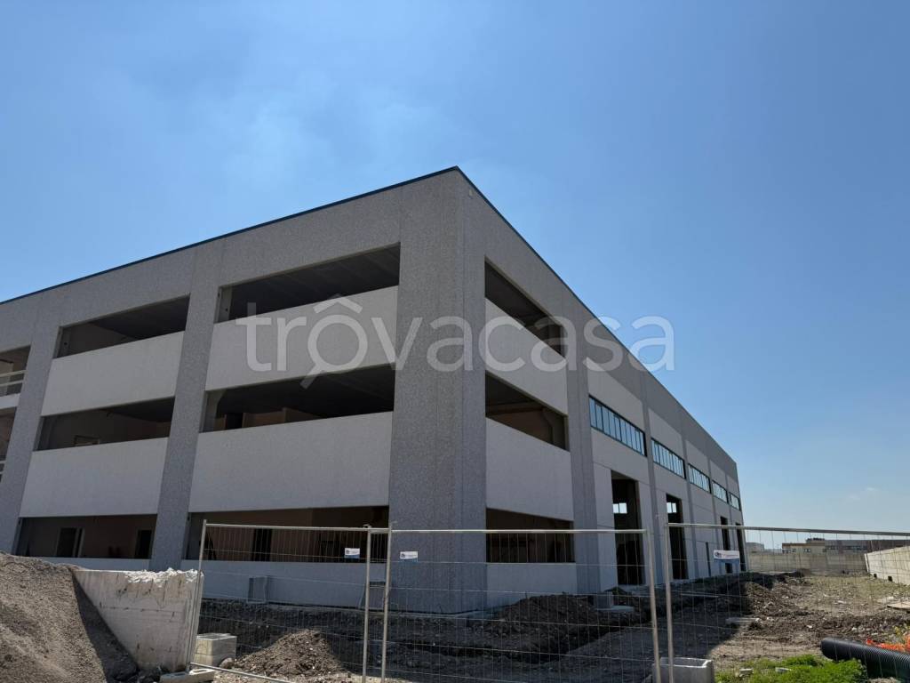 immagine annuncio 9 di 14