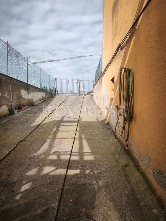 immagine annuncio 11 di 13