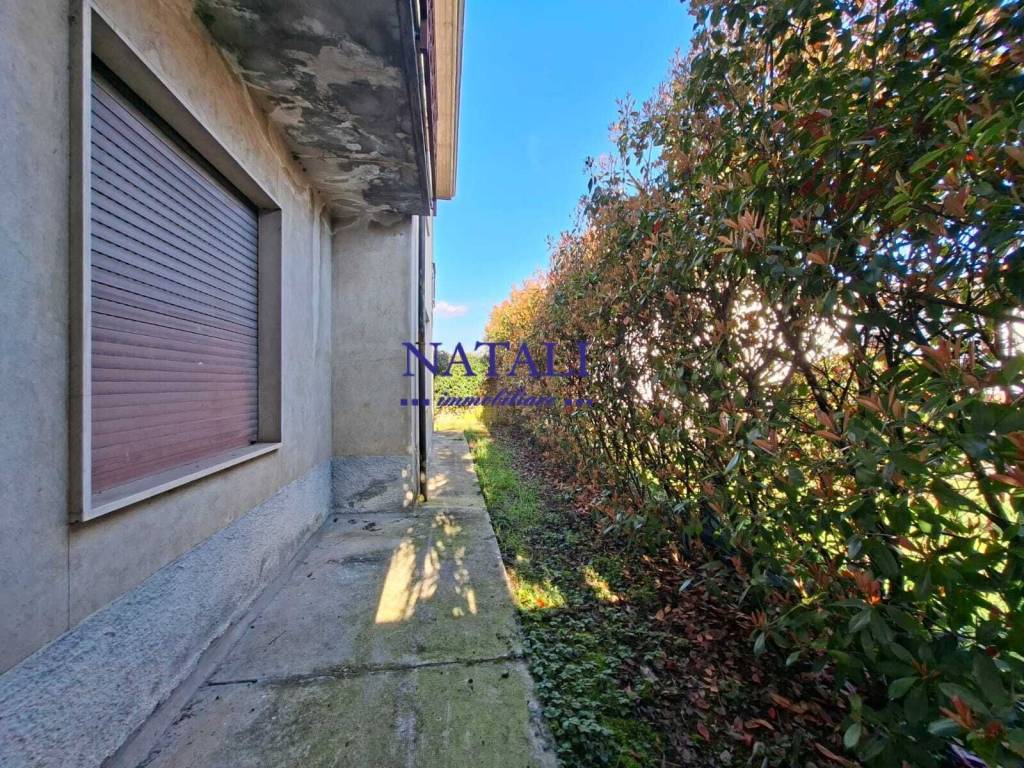 immagine annuncio 3 di 9