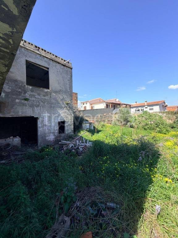 immagine annuncio 1 di 7