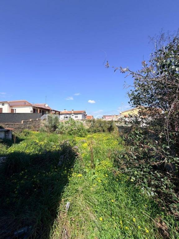 immagine annuncio 2 di 7