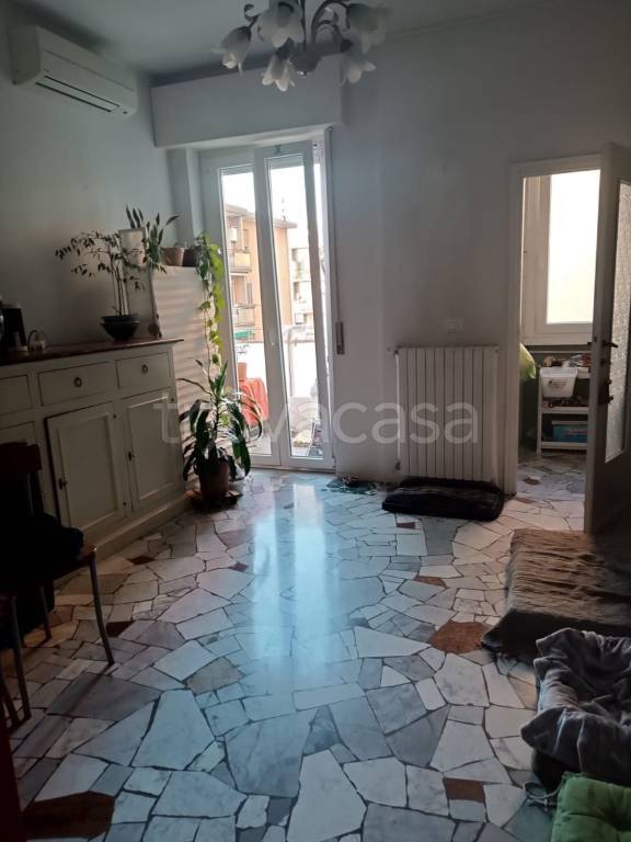 immagine annuncio 6 di 14