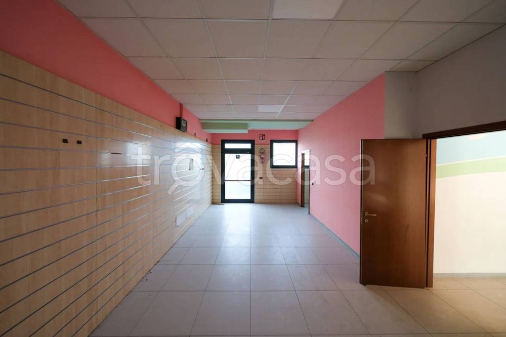 immagine annuncio 3 di 13