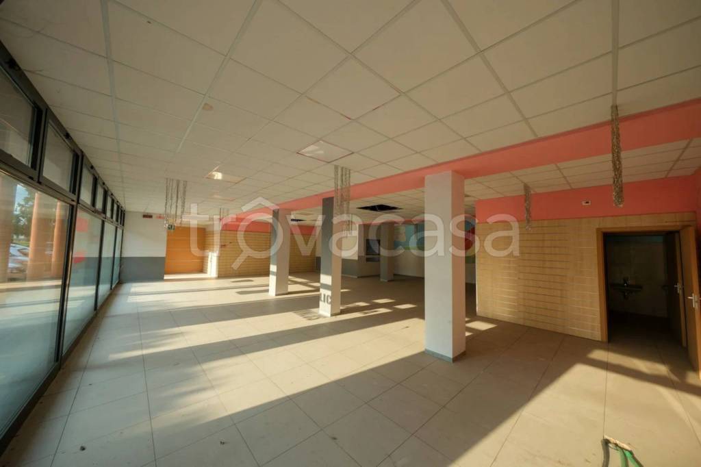 immagine annuncio 11 di 13