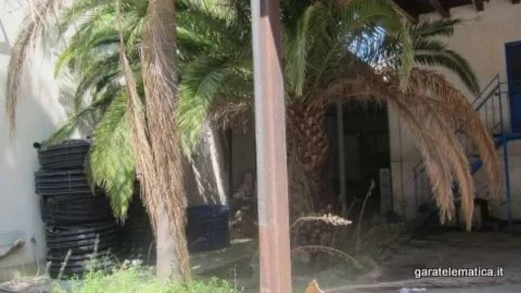 immagine annuncio 9 di 12