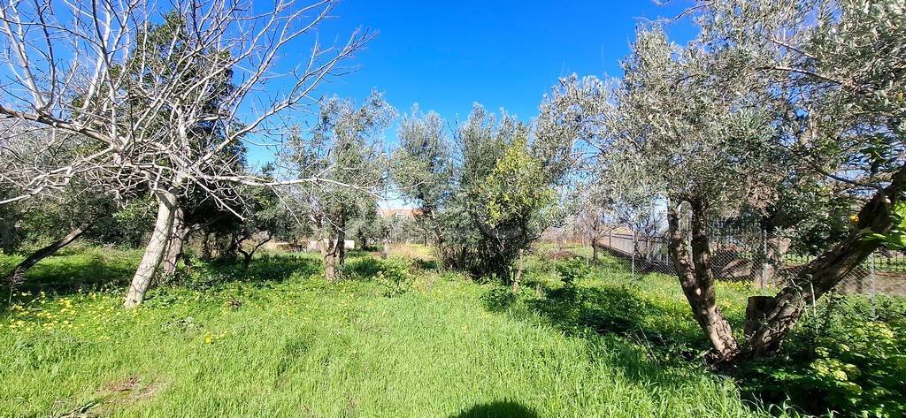 immagine annuncio 4 di 6