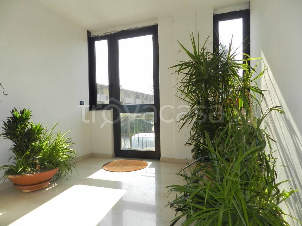 immagine annuncio 5 di 7