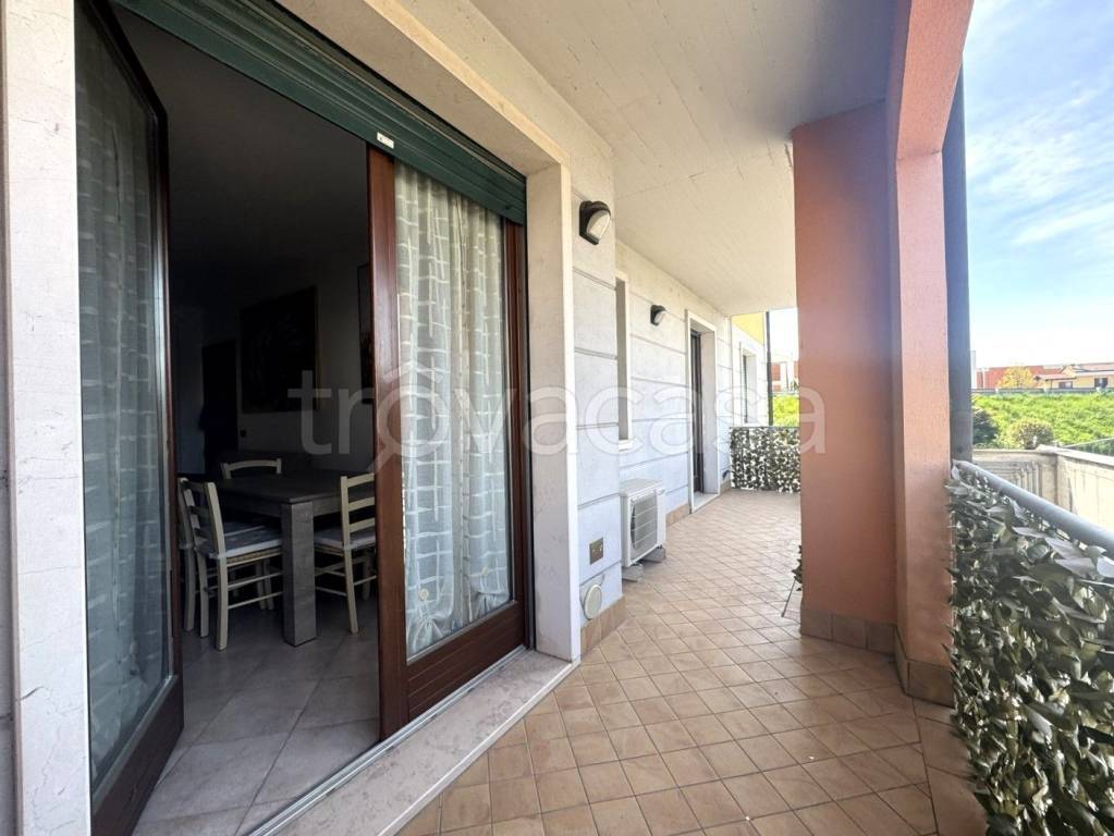 immagine annuncio 4 di 13