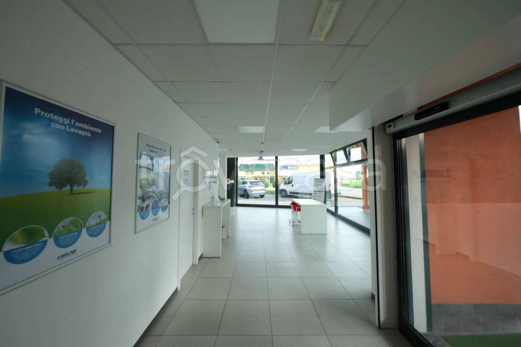 immagine annuncio 2 di 11