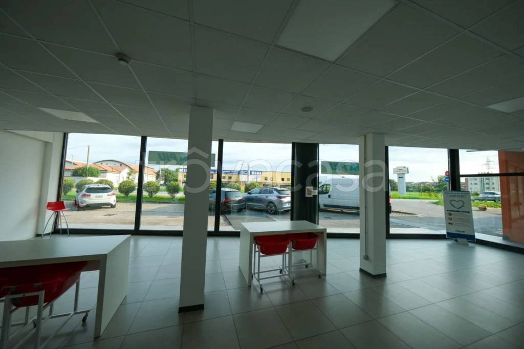 immagine annuncio 3 di 11