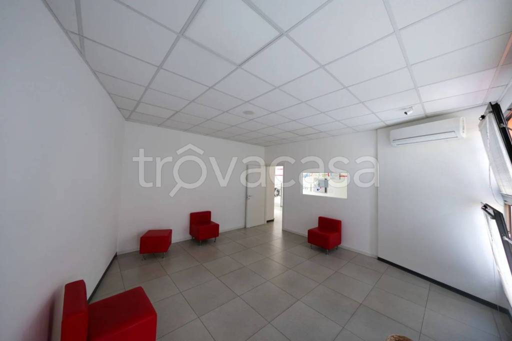 immagine annuncio 4 di 11