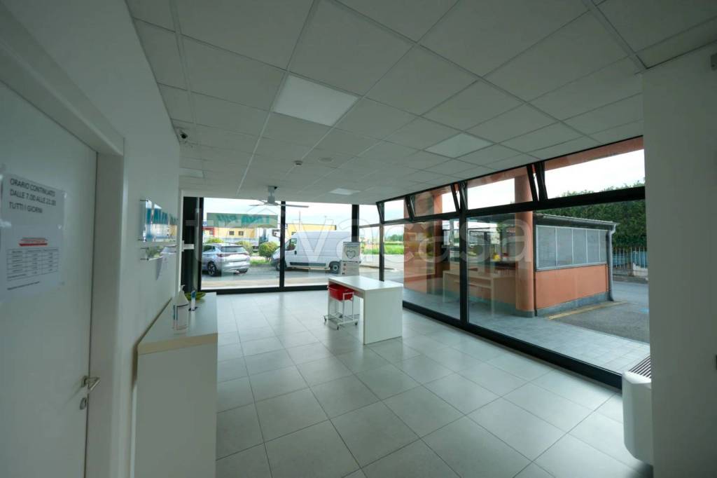 immagine annuncio 5 di 11