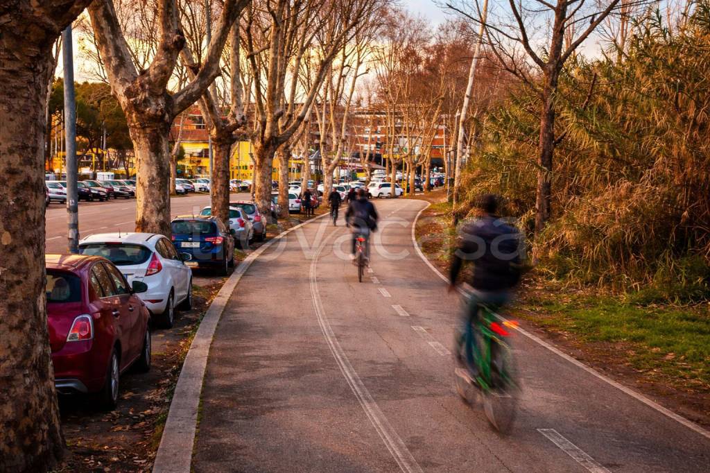 immagine annuncio 4 di 9