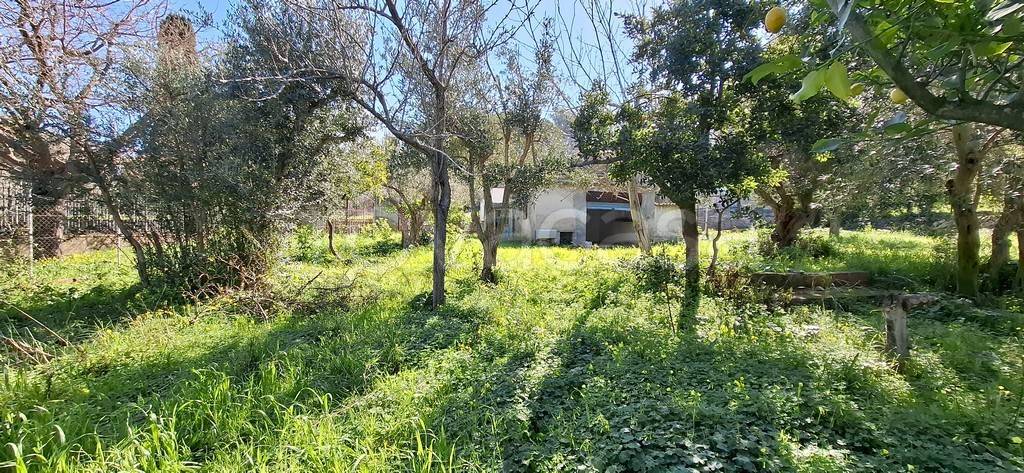 immagine annuncio 2 di 6