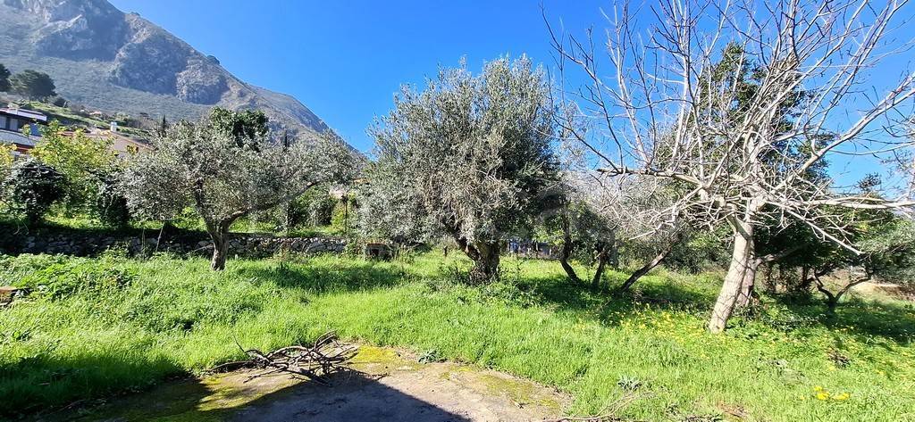 immagine annuncio 3 di 6