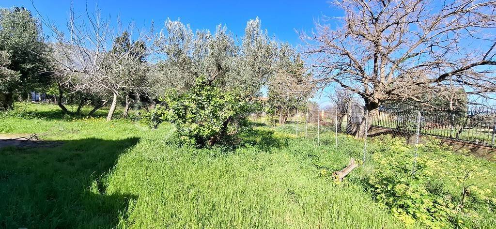 immagine annuncio 5 di 6