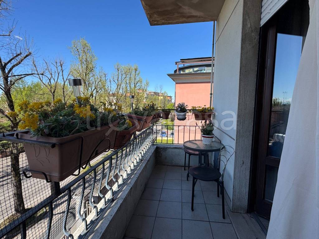 immagine annuncio 9 di 15