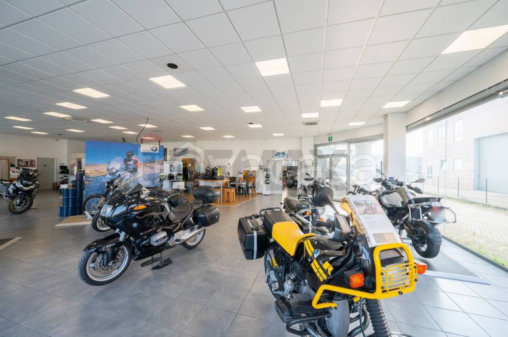 immagine annuncio 5 di 15