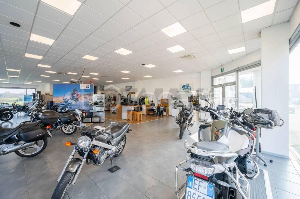 immagine annuncio 7 di 15