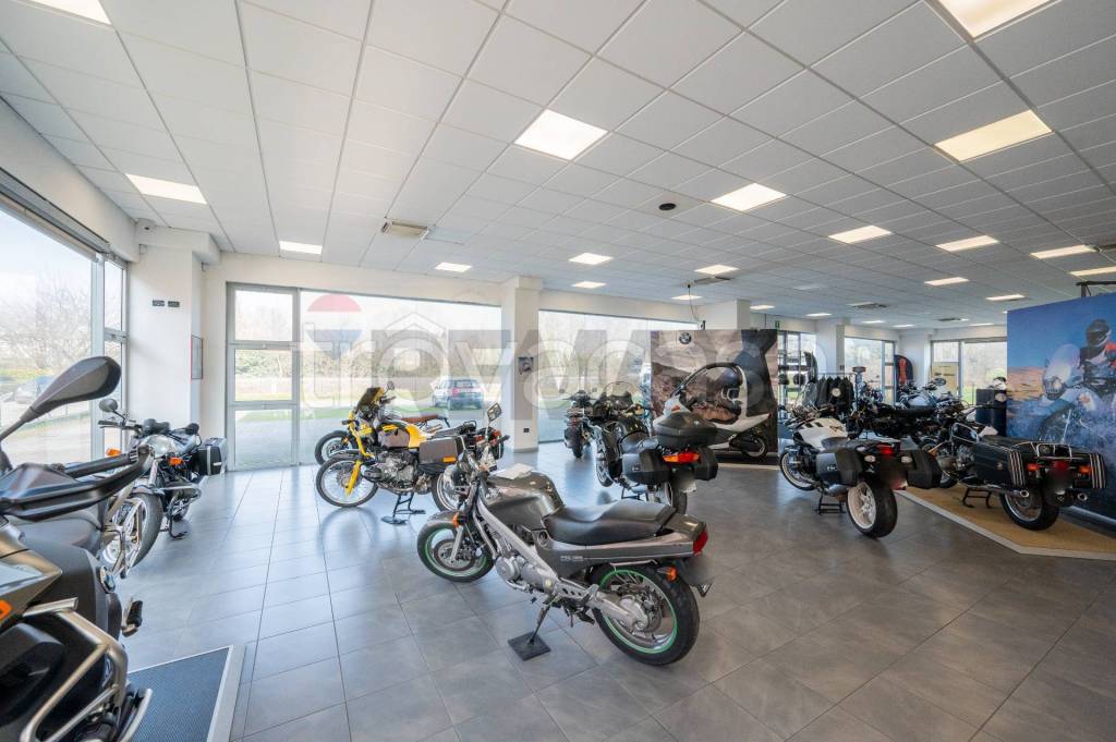 immagine annuncio 8 di 15