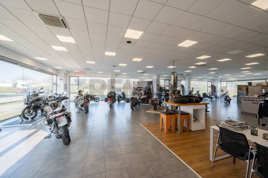 immagine annuncio 9 di 15