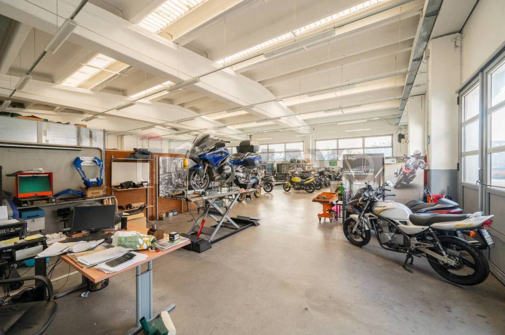 immagine annuncio 10 di 15