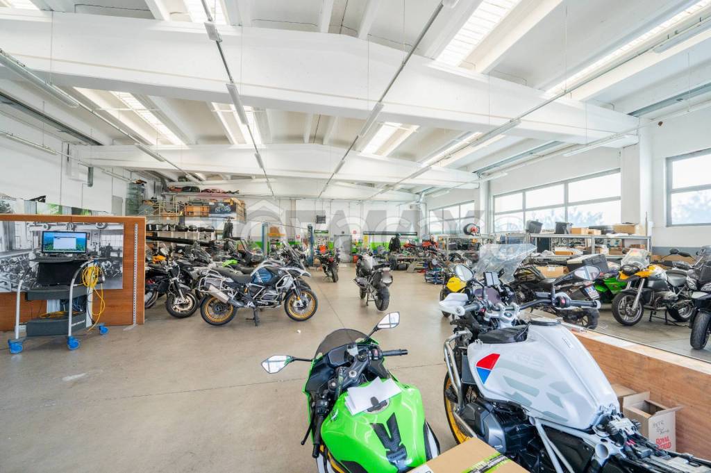 immagine annuncio 11 di 15