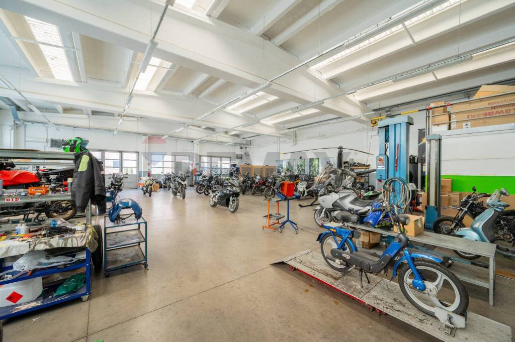 immagine annuncio 12 di 15