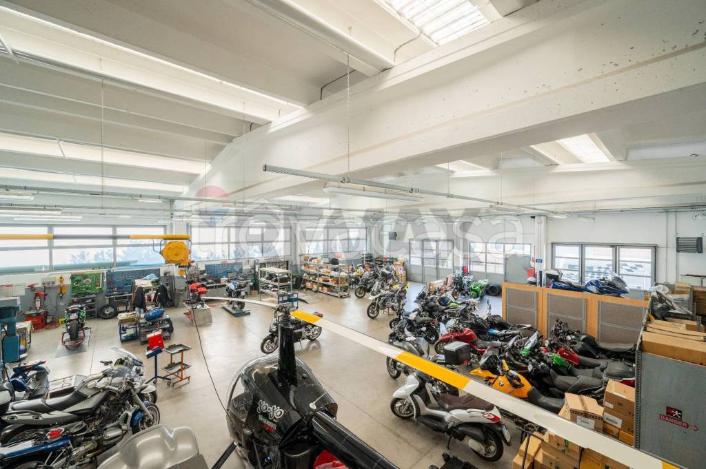 immagine annuncio 14 di 15