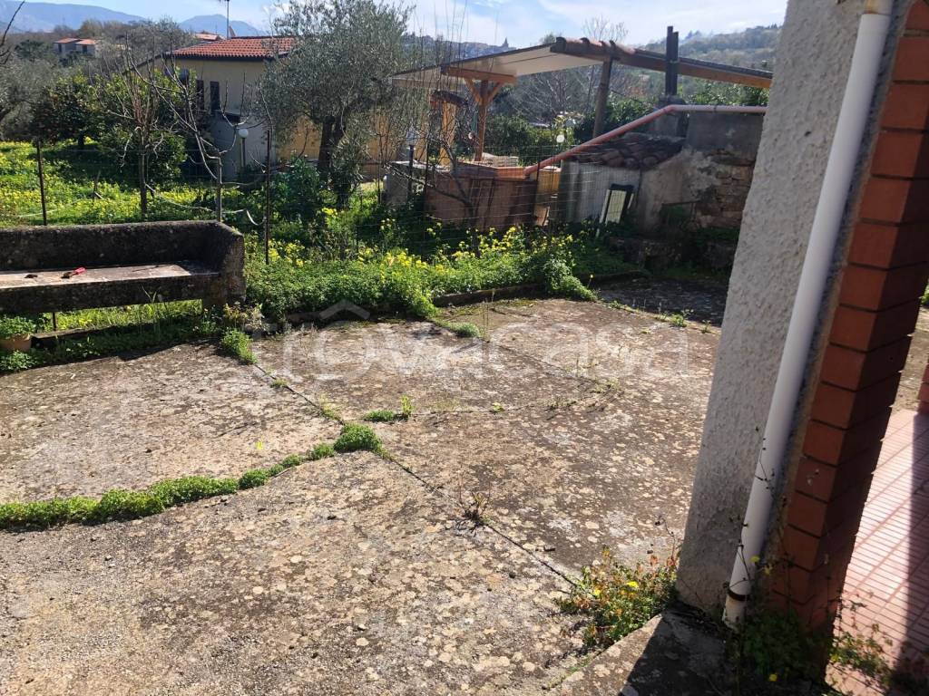 immagine annuncio 7 di 13