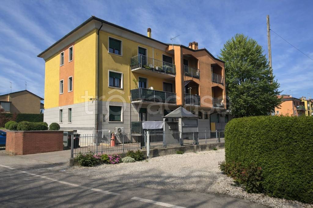 immagine annuncio 12 di 13