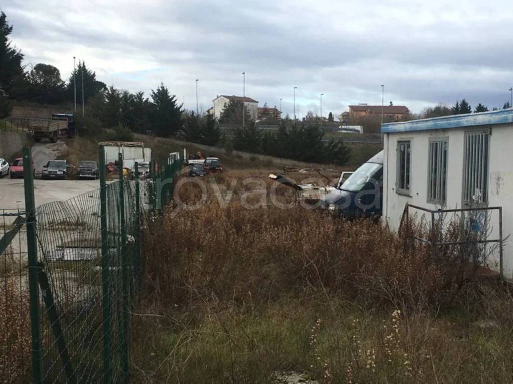 immagine annuncio 2 di 10