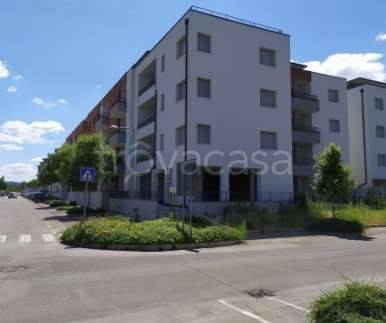 immagine annuncio 4 di 9